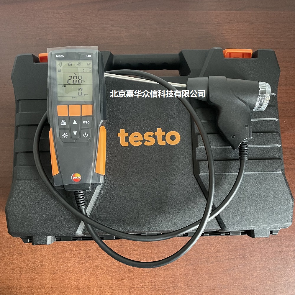 testo310.jpg